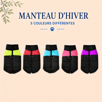 Manteau d'Hiver pour Chien | Imperméable et Coupe-Vent