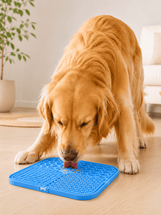 Tapis de Léchage pour Chien | Anti-Stress et Occupation